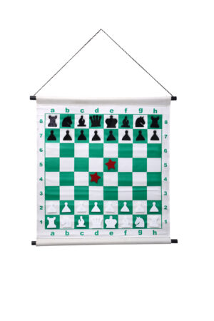 Magnetic Chess Demonstration Board